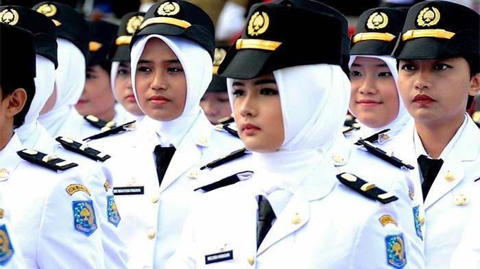 Strategi Belajar Efektif Lewat Tryout Online PKN STAN Terpercaya Versi Alumni Lolos