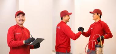 Jasa Anti Rayap Terbaik