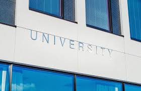 Ini Dia! Tips Jitu Mempromosikan Universitas secara Online yang Bisa Meningkatkan Popularitasmu dalam Sekejap!