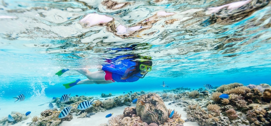 Menjelajahi Keindahan Bawah Laut, Destinasi Wisata Selam Terbaik di Dunia
