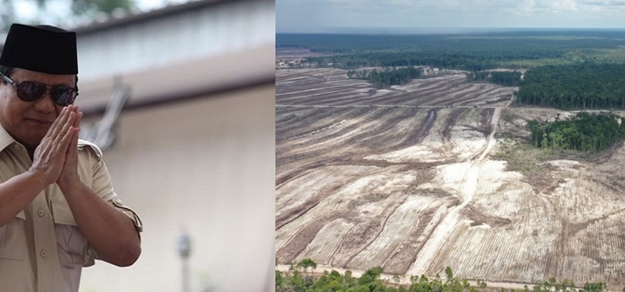 Anggaran Dana Fantastis Rp 108.8 Triliun Terbuang Percuma: Food Estate Gagal, Prabowo Malah Asik-asik Nyapres
