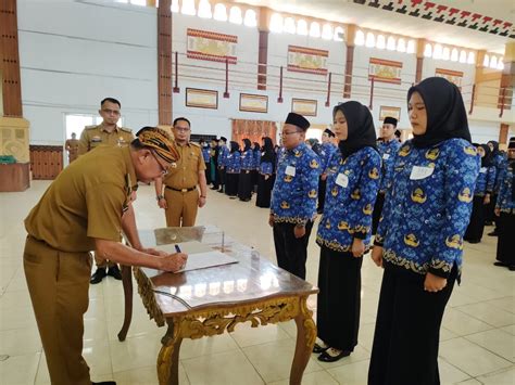 Lokasi Ujian CPNS Sudah Muncul? Jangan Lupa Verifikasi Data SKD Kamu!