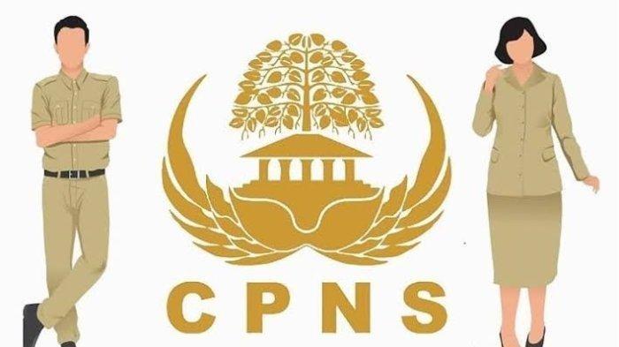 Update Terbaru CPNS: Passing Grade SKD dan SKB yang Harus Diketahui