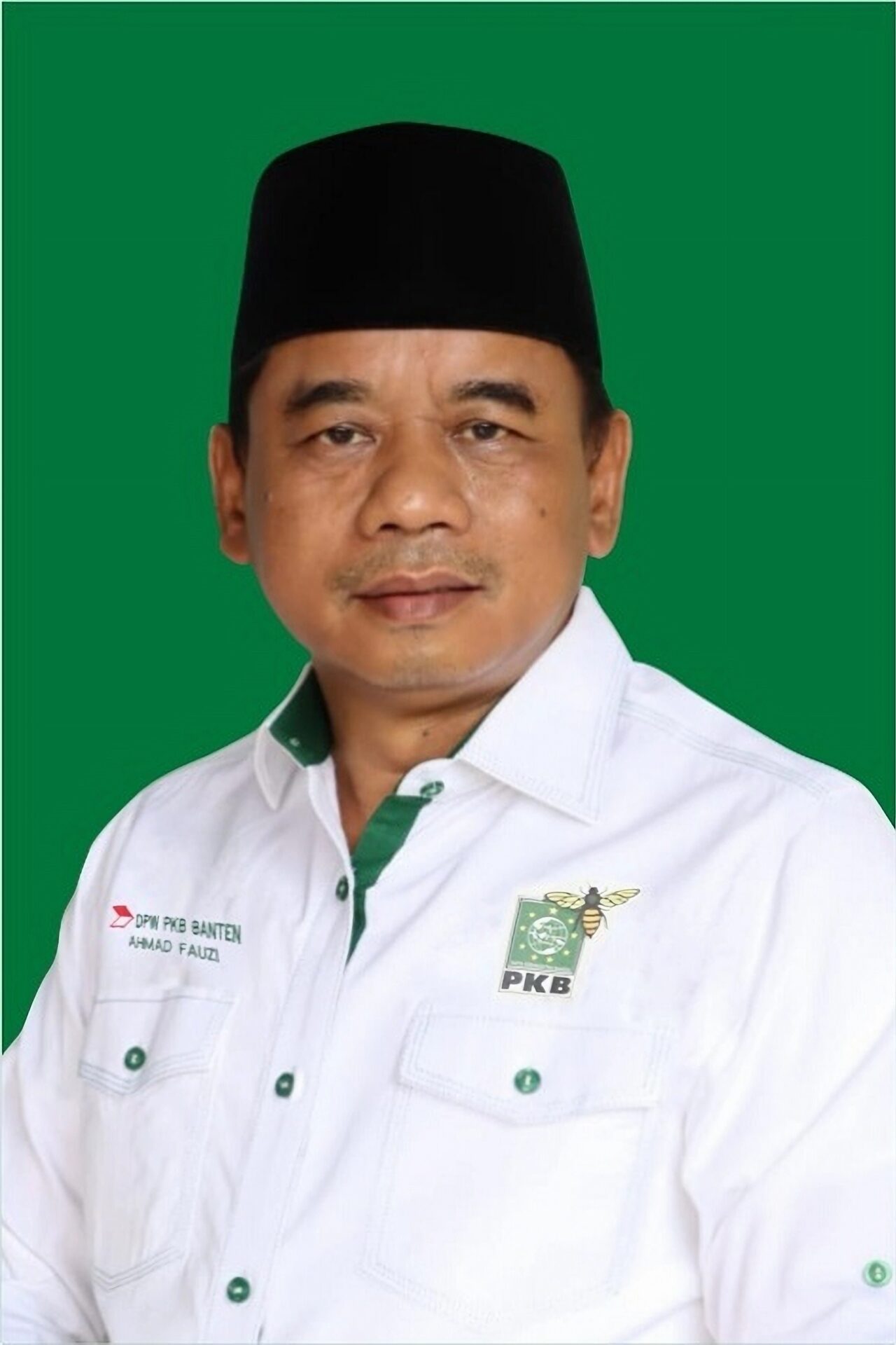 Profil Ahmad Fauzi (PKB) Daerah Pemilihan Banten I: Menyongsong Harapan dan Perubahan
