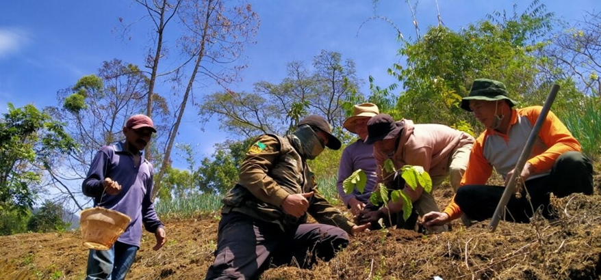 Hijaukan Bumi, Program Rehabilitasi dan Reboisasi di Jawa Timur